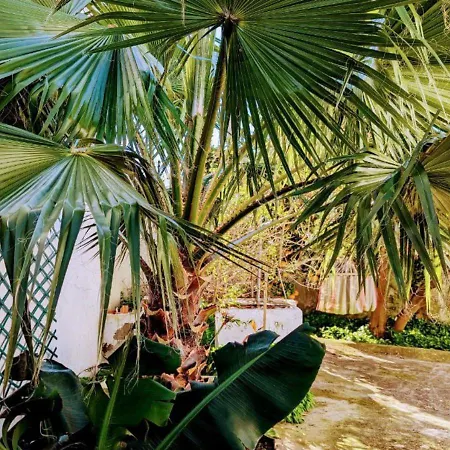 Cozy 3 Bedroom - Close To