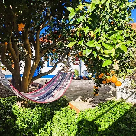 Cozy 3 Bedroom - Close To Lourinha (Lisbon)