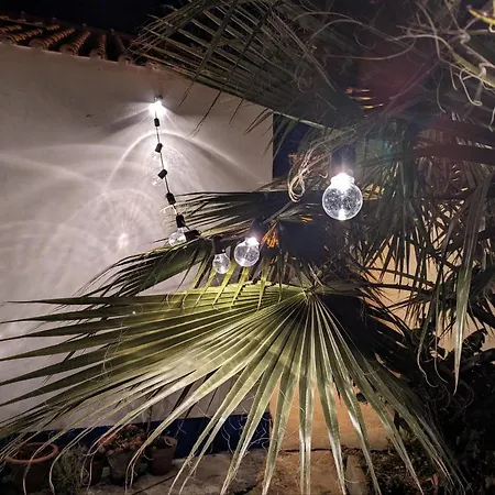 Cozy 3 Bedroom - Close To *