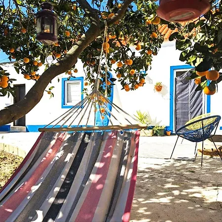 Cozy 3 Bedroom - Close To