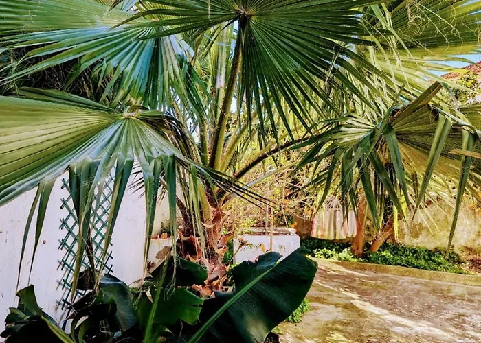 Cozy 3 Bedroom - Close To