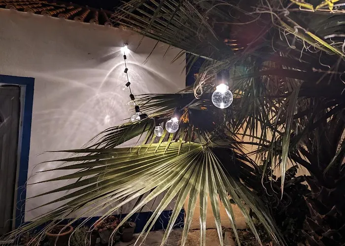 Cozy 3 Bedroom - Close To *