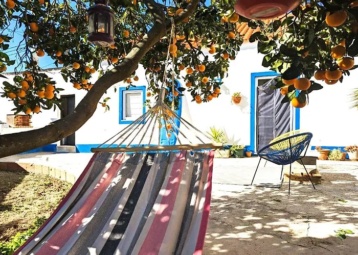 Cozy 3 Bedroom - Close To