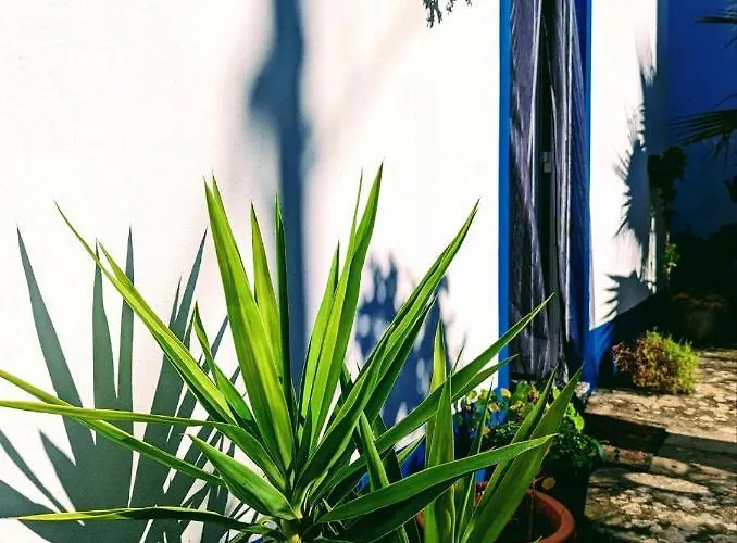 Cozy 3 Bedroom - Close To